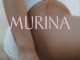 Murina