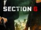 Section 8