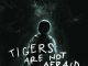 Tigers Are Not Afraid
