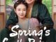 Spring's Gentle Return