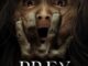 Prey for the Devil