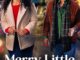 Merry Little Mystery