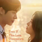 Even If This Love Disappears Tonight