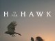 H Is for Hawk