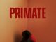 Primate