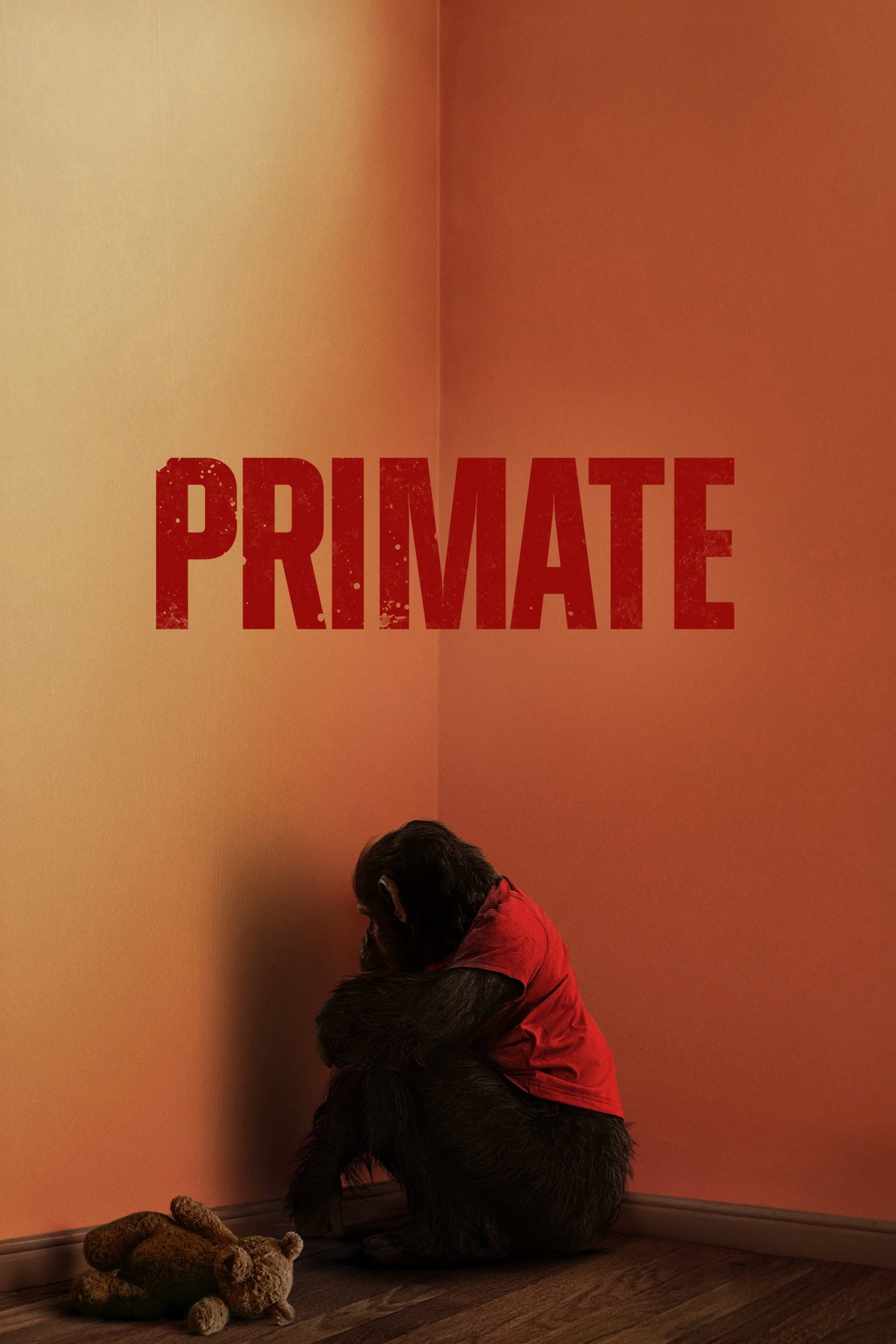 Primate
