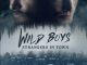 Wild Boys: Strangers in Town