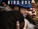 Bird Box