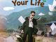 Cabbage Your Life