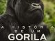 A Gorilla Story: Told by David Attenborough