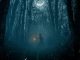 Gaua (The Night)