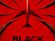 Black Box (Flight 298)