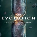 Evolution