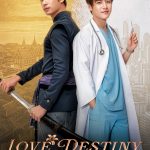 Love Destiny