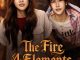 The Fire